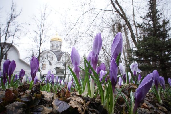 Православный календарь на март 2024 года 